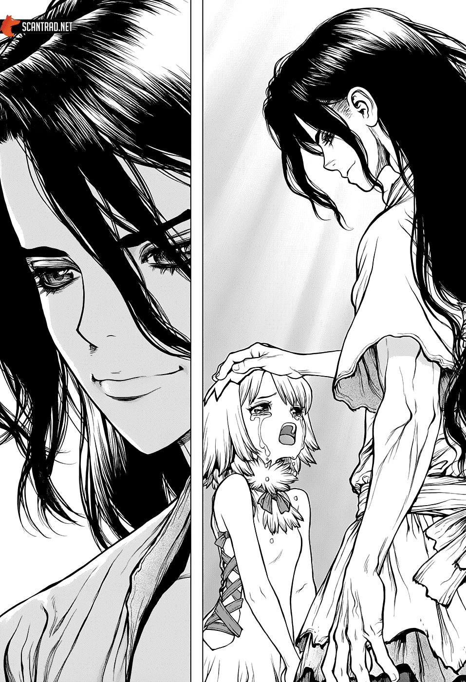 Read Dr Stone FR Manga Online
