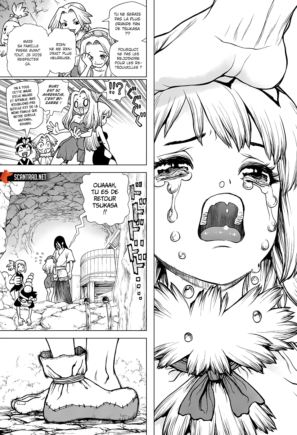 Read Dr Stone FR Manga Online