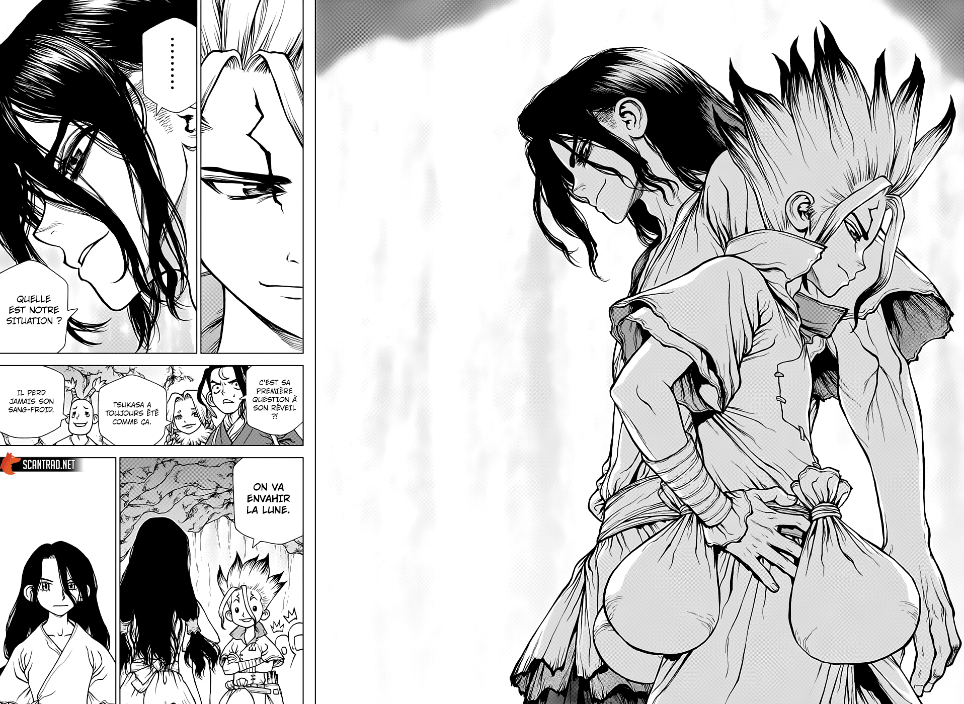 Read Dr Stone FR Manga Online