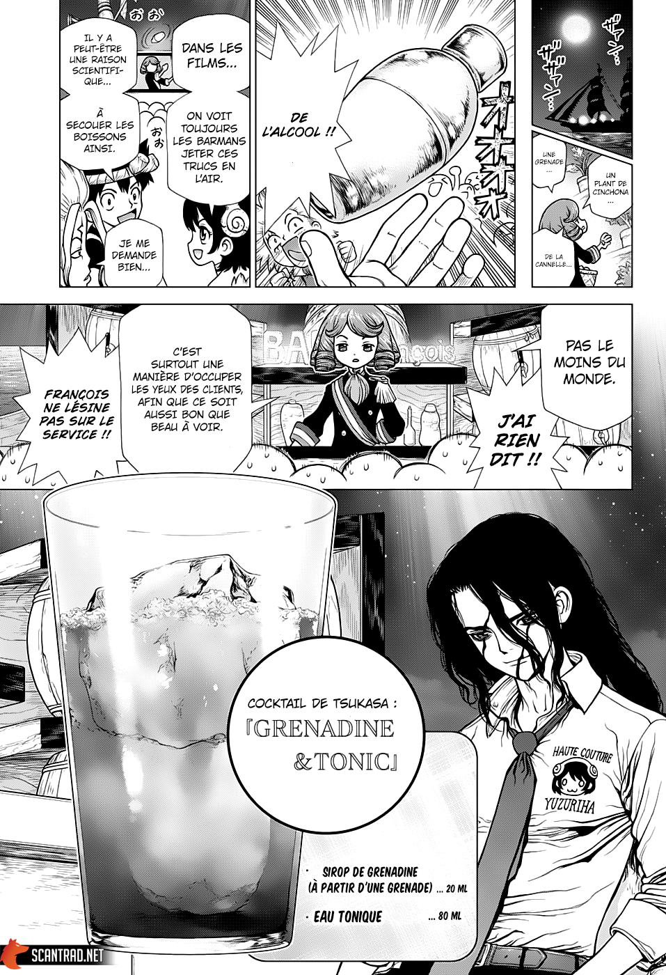 Read Dr Stone FR Manga Online