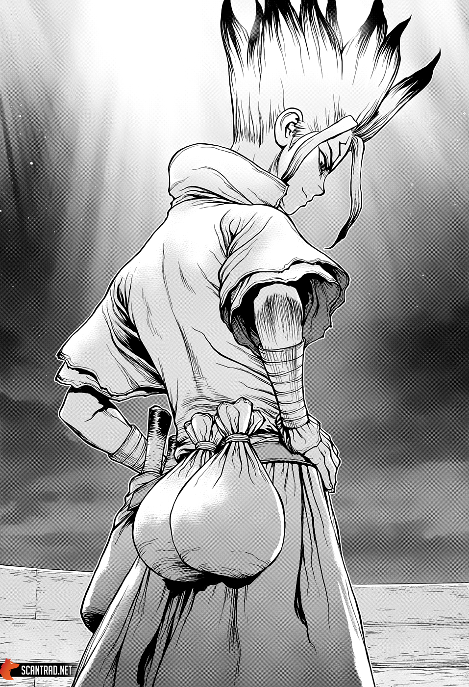 Read Dr Stone FR Manga Online