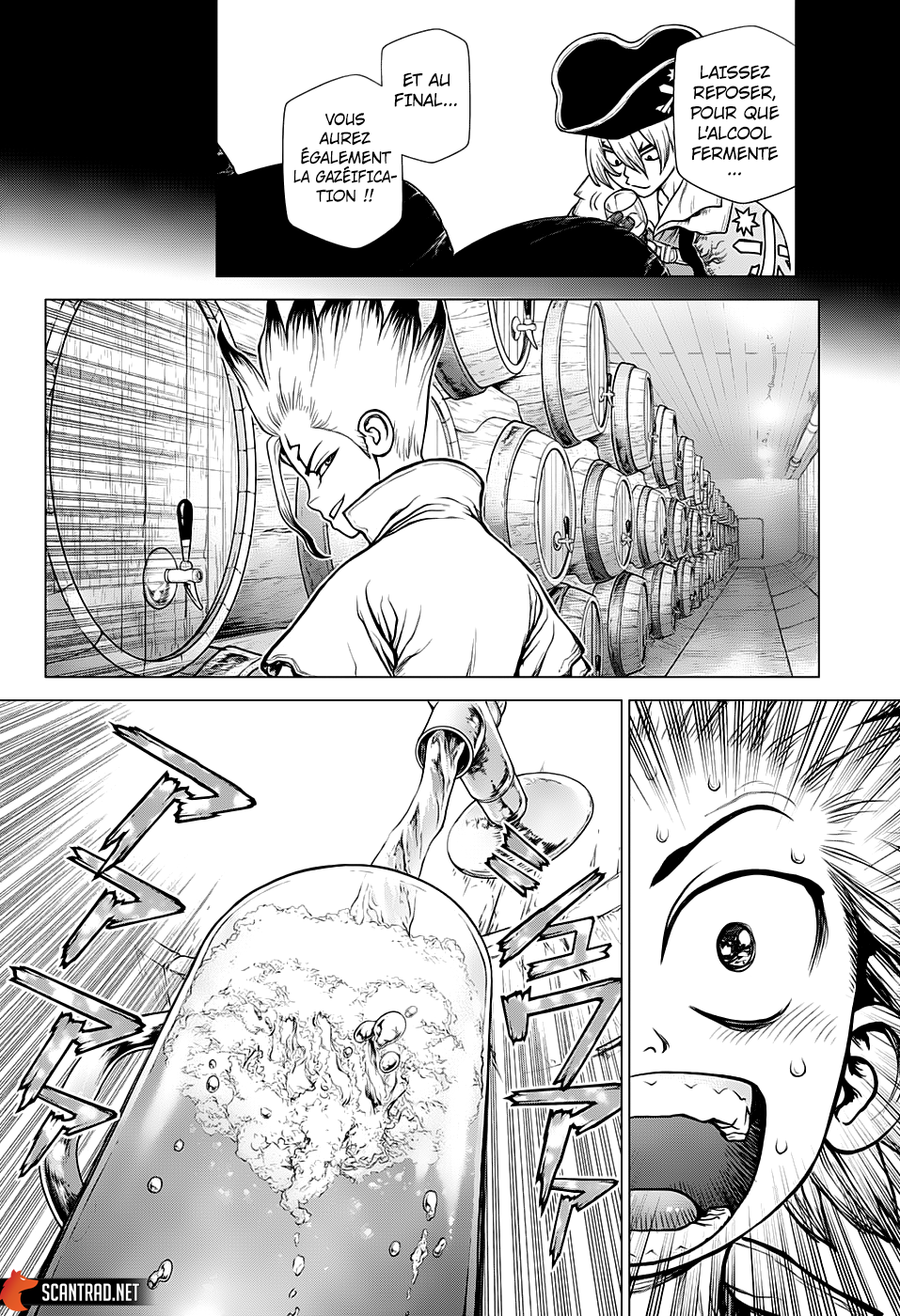 Read Dr Stone FR Manga Online