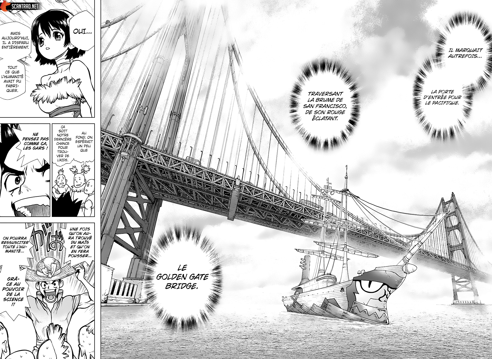 Read Dr Stone FR Manga Online