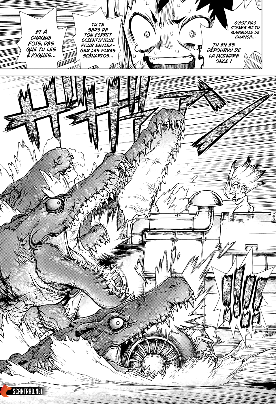 Read Dr Stone FR Manga Online