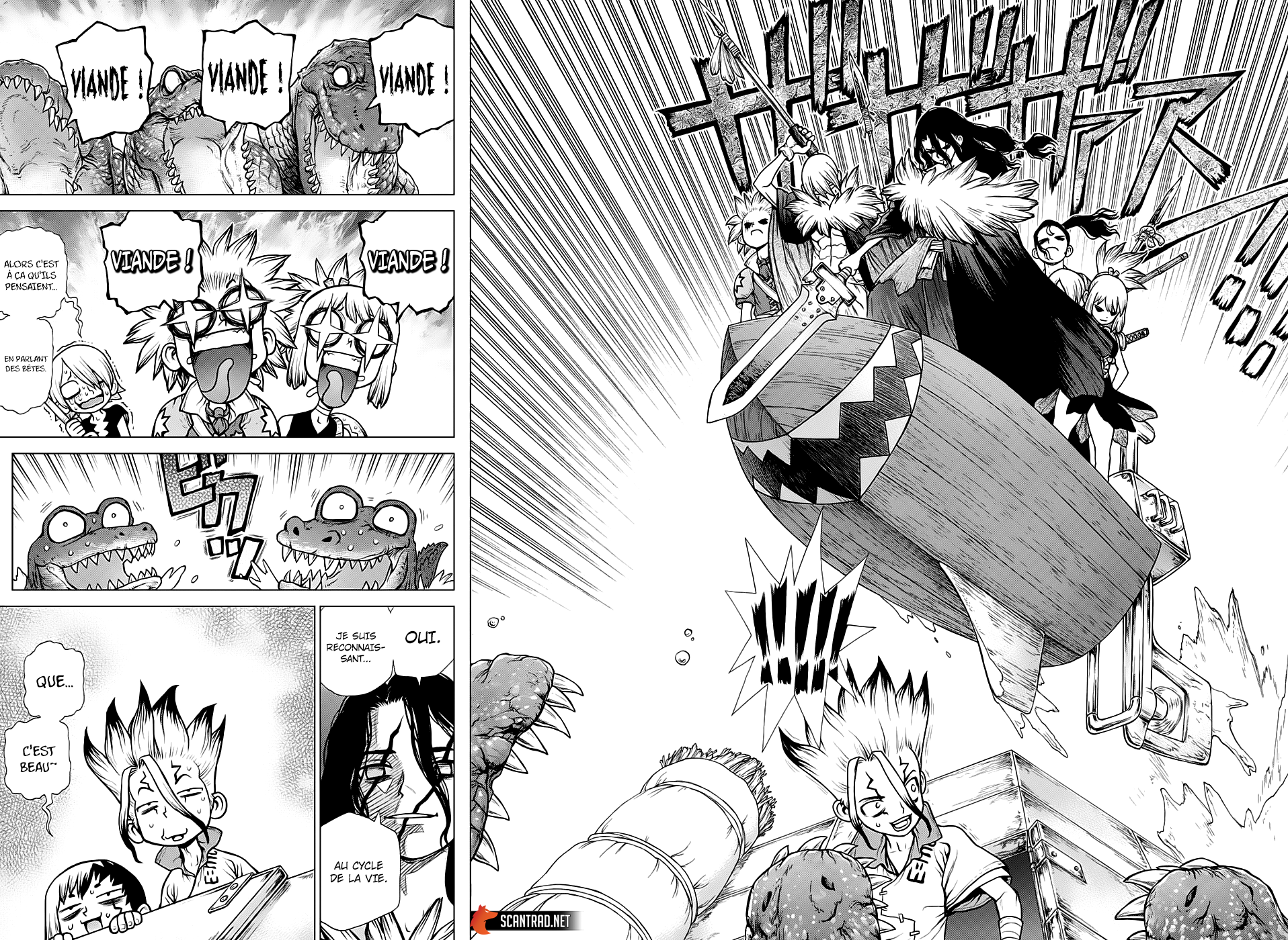 Read Dr Stone FR Manga Online