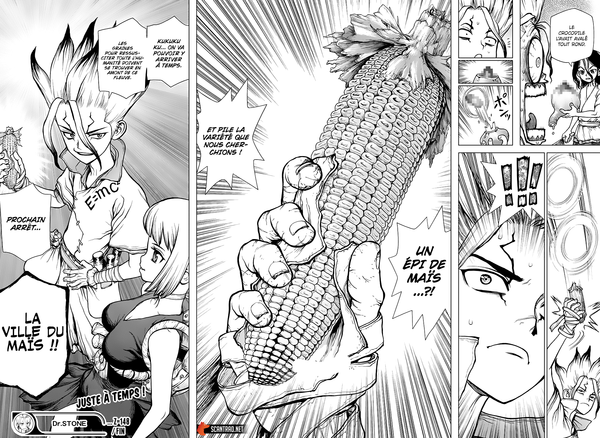 Read Dr Stone FR Manga Online