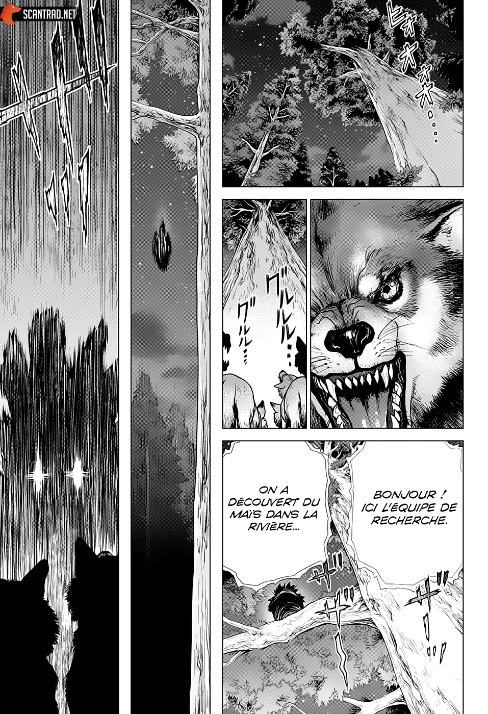 Read Dr Stone FR Manga Online