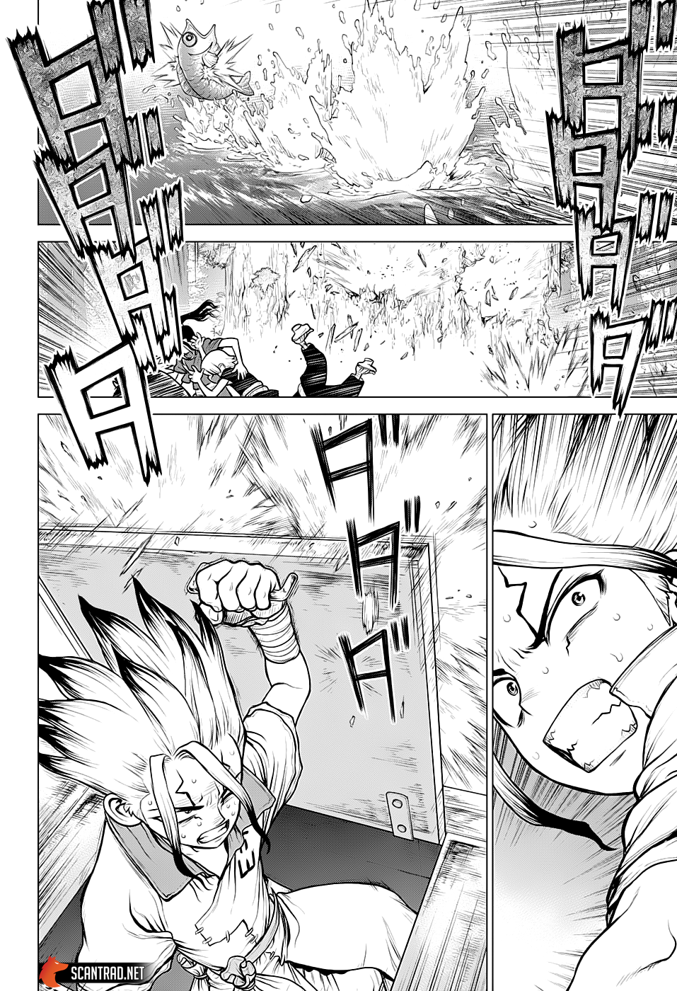 Read Dr Stone FR Manga Online