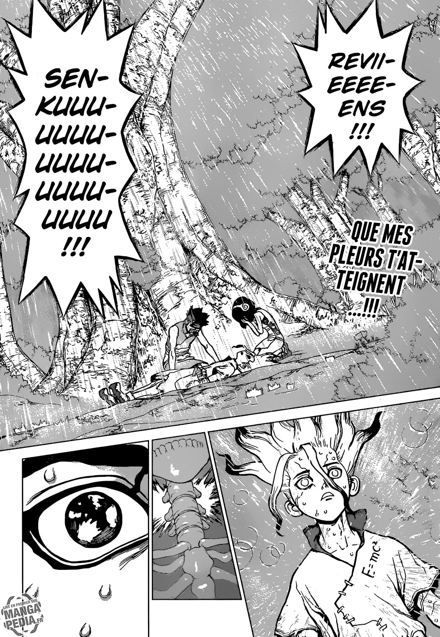 Read Dr Stone FR Manga Online