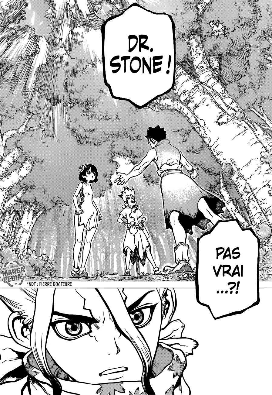 Read Dr Stone FR Manga Online