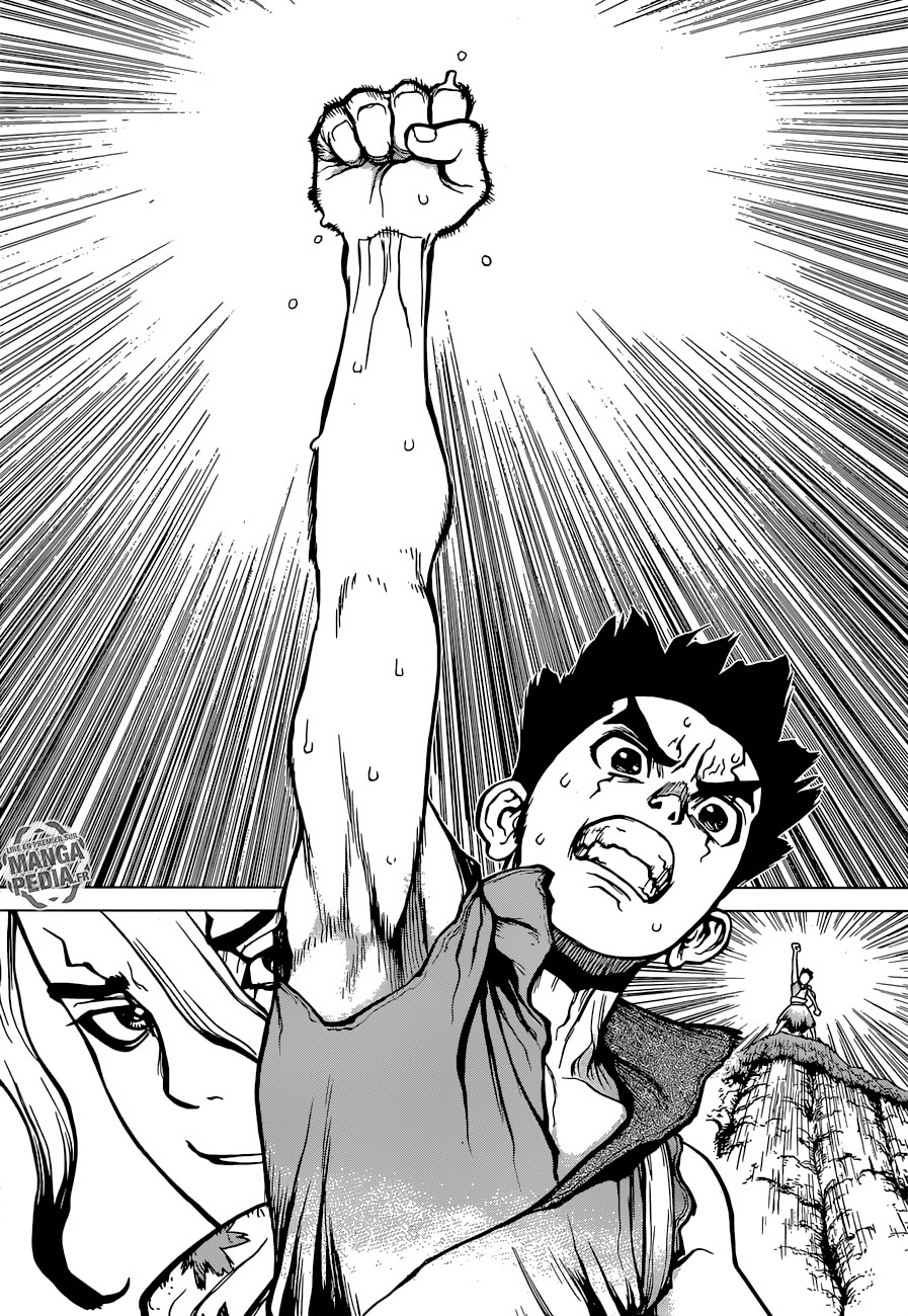 Read Dr Stone FR Manga Online