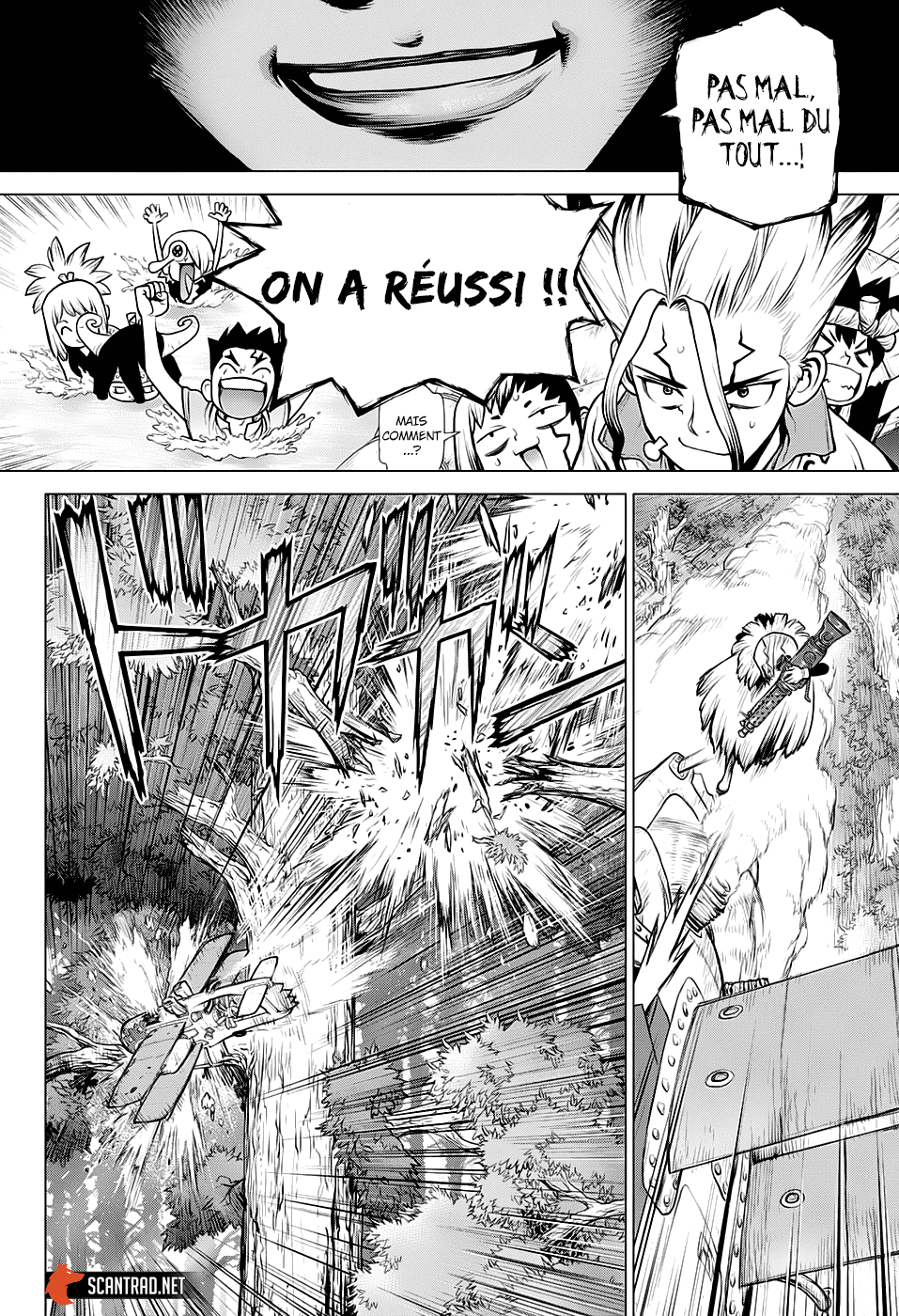 Read Dr Stone FR Manga Online