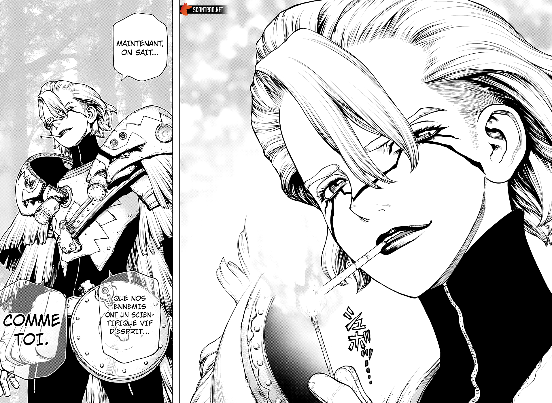 Read Dr Stone FR Manga Online