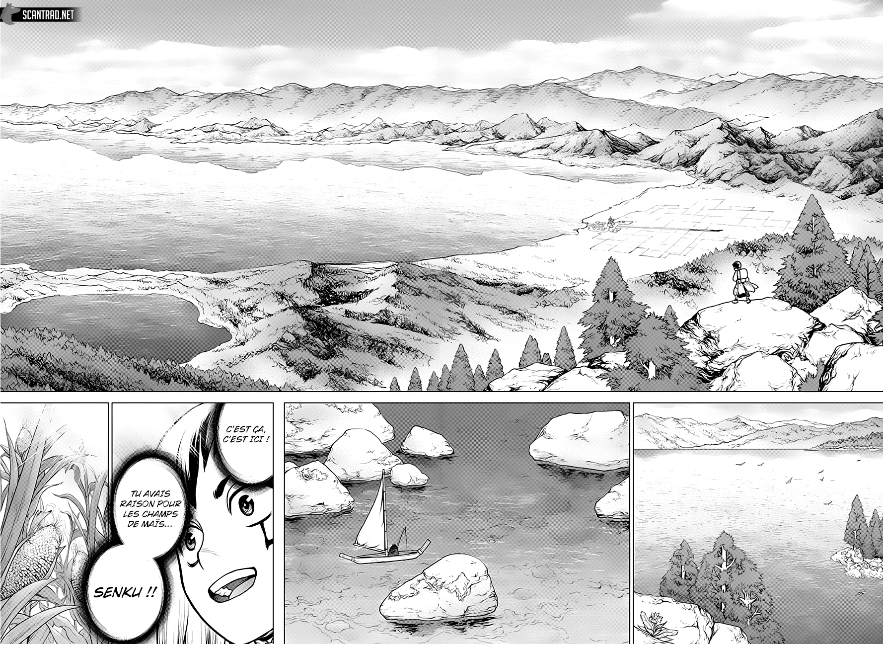 Read Dr Stone FR Manga Online