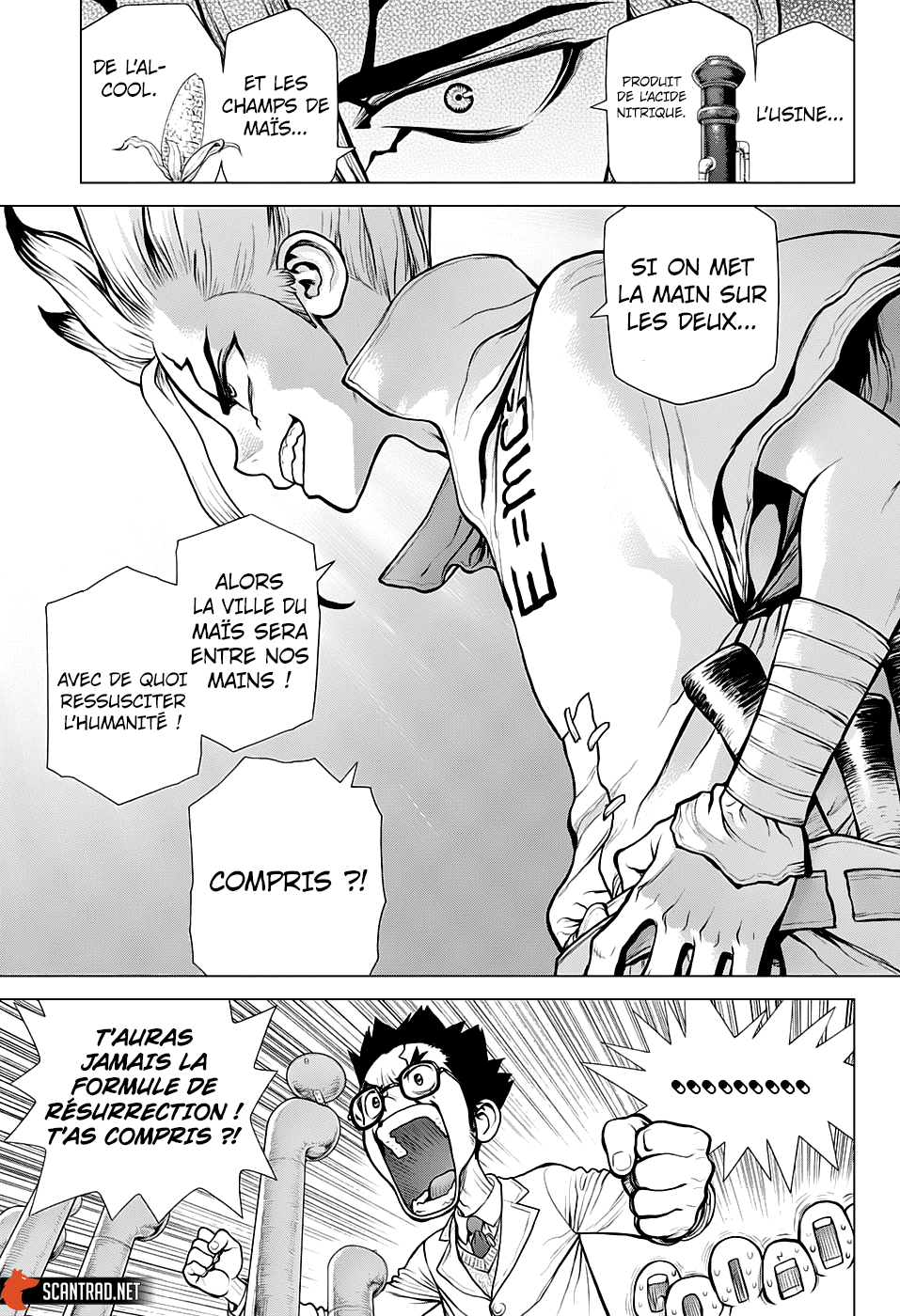 Read Dr Stone FR Manga Online