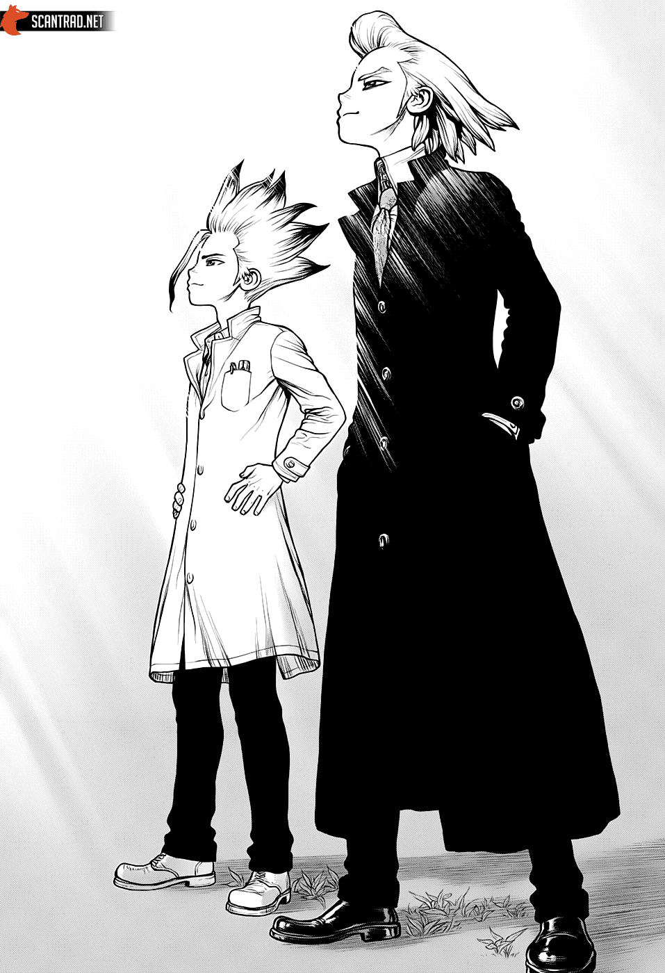 Read Dr Stone FR Manga Online