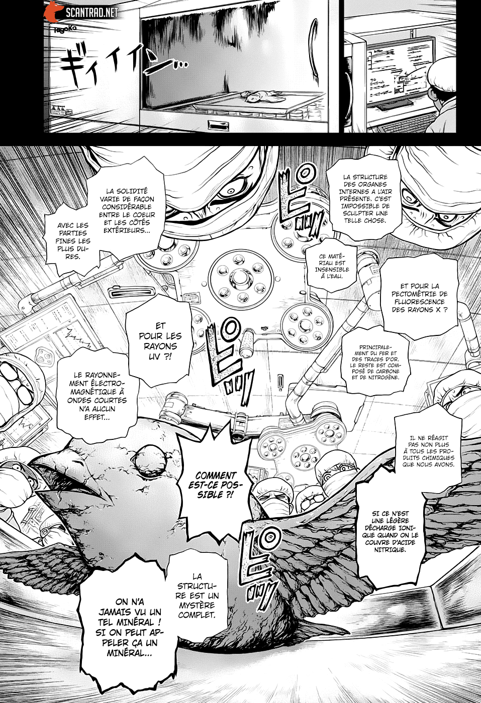 Read Dr Stone FR Manga Online