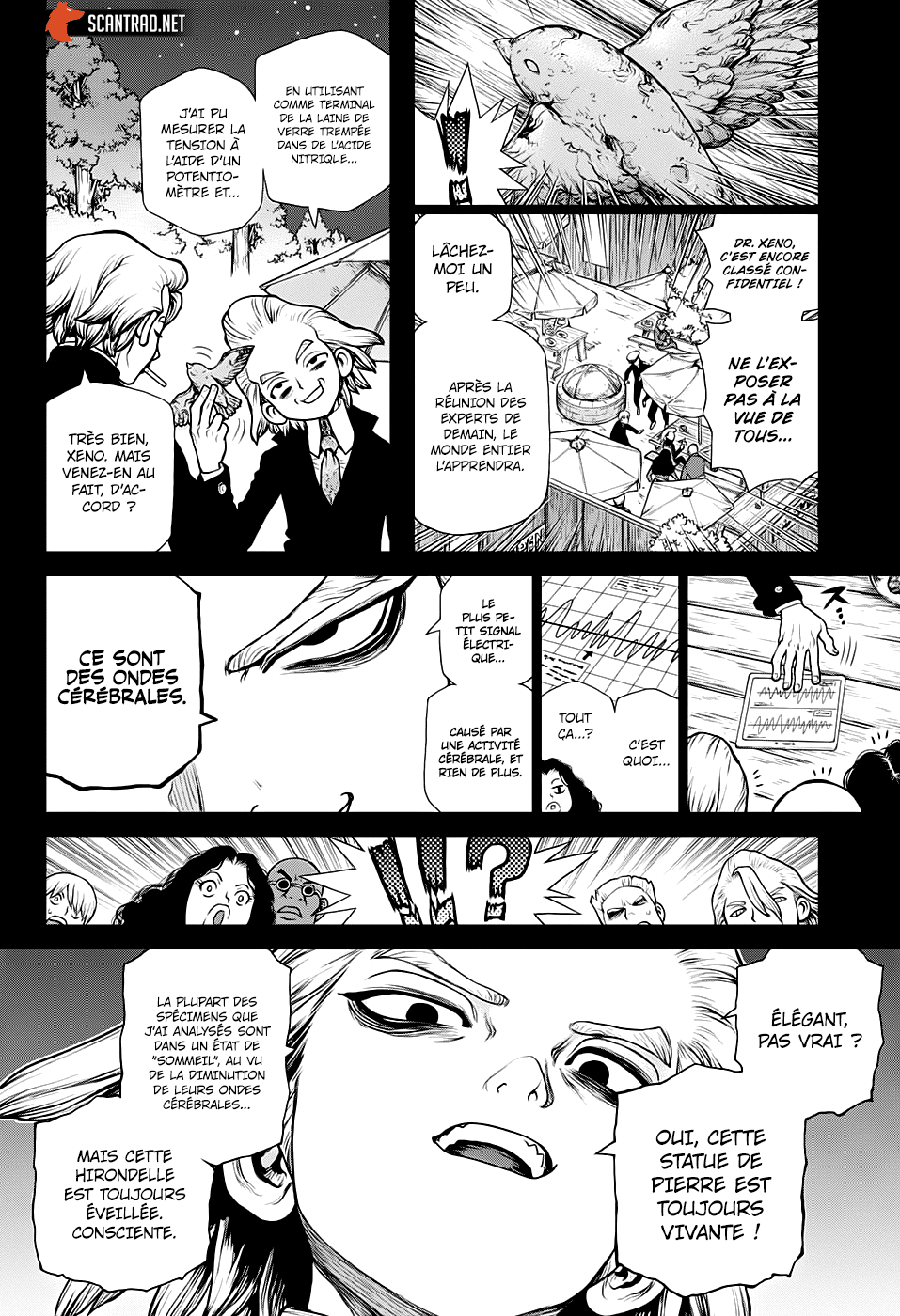 Read Dr Stone FR Manga Online