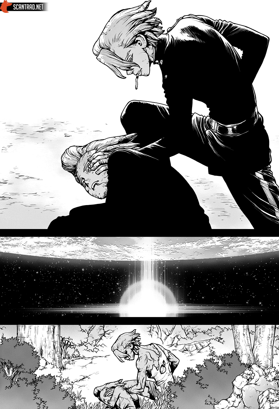 Read Dr Stone FR Manga Online