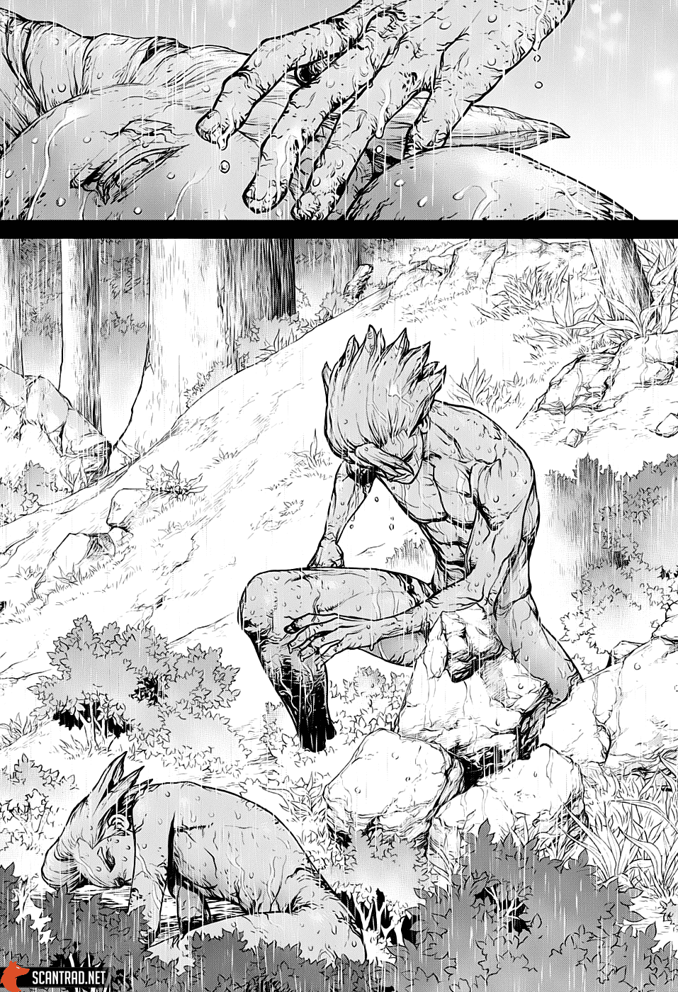 Read Dr Stone FR Manga Online