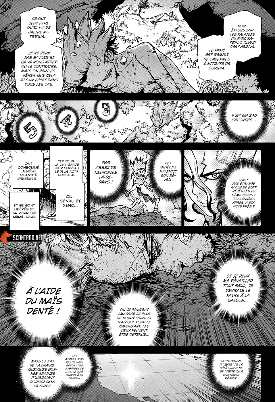 Read Dr Stone FR Manga Online
