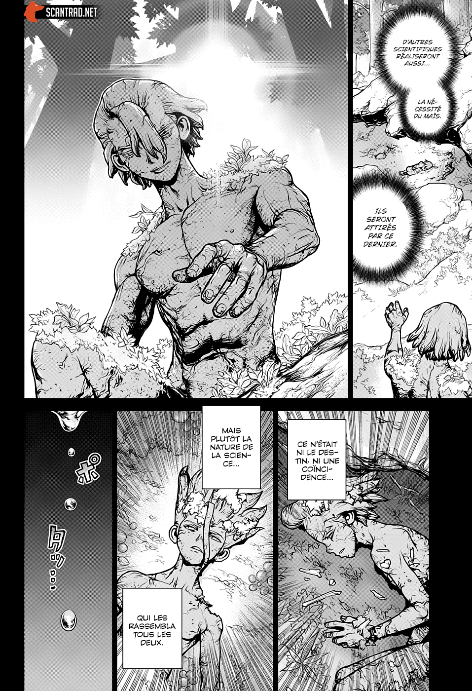 Read Dr Stone FR Manga Online