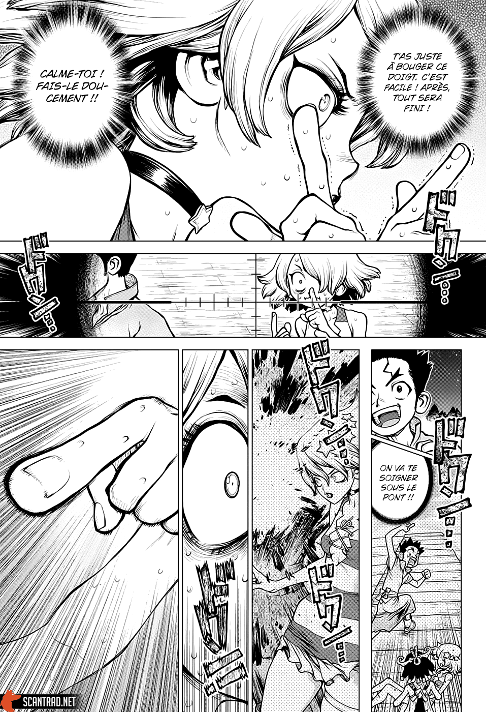 Read Dr Stone FR Manga Online