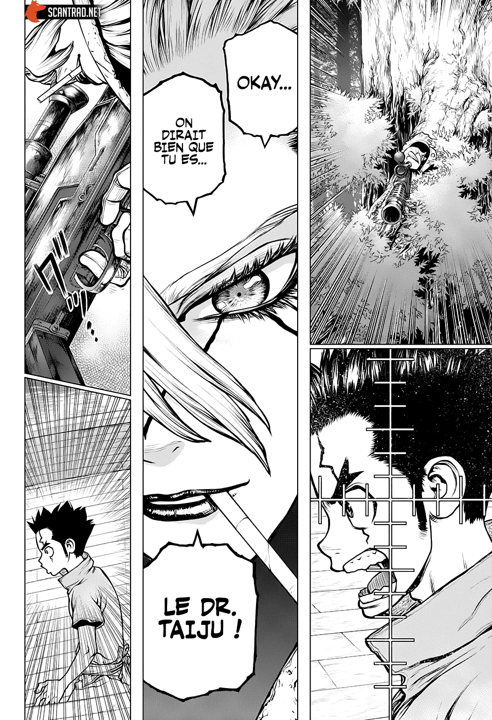 Read Dr Stone FR Manga Online