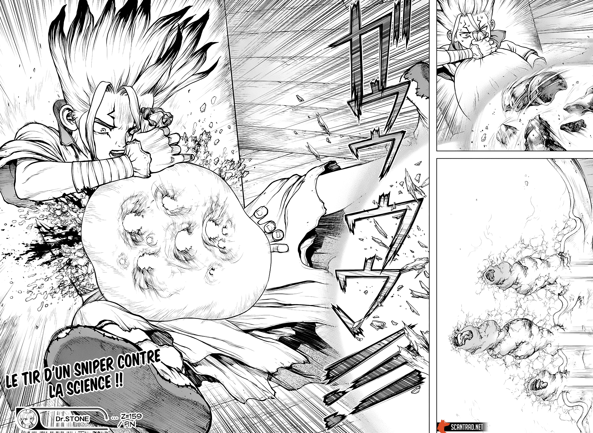 Read Dr Stone FR Manga Online