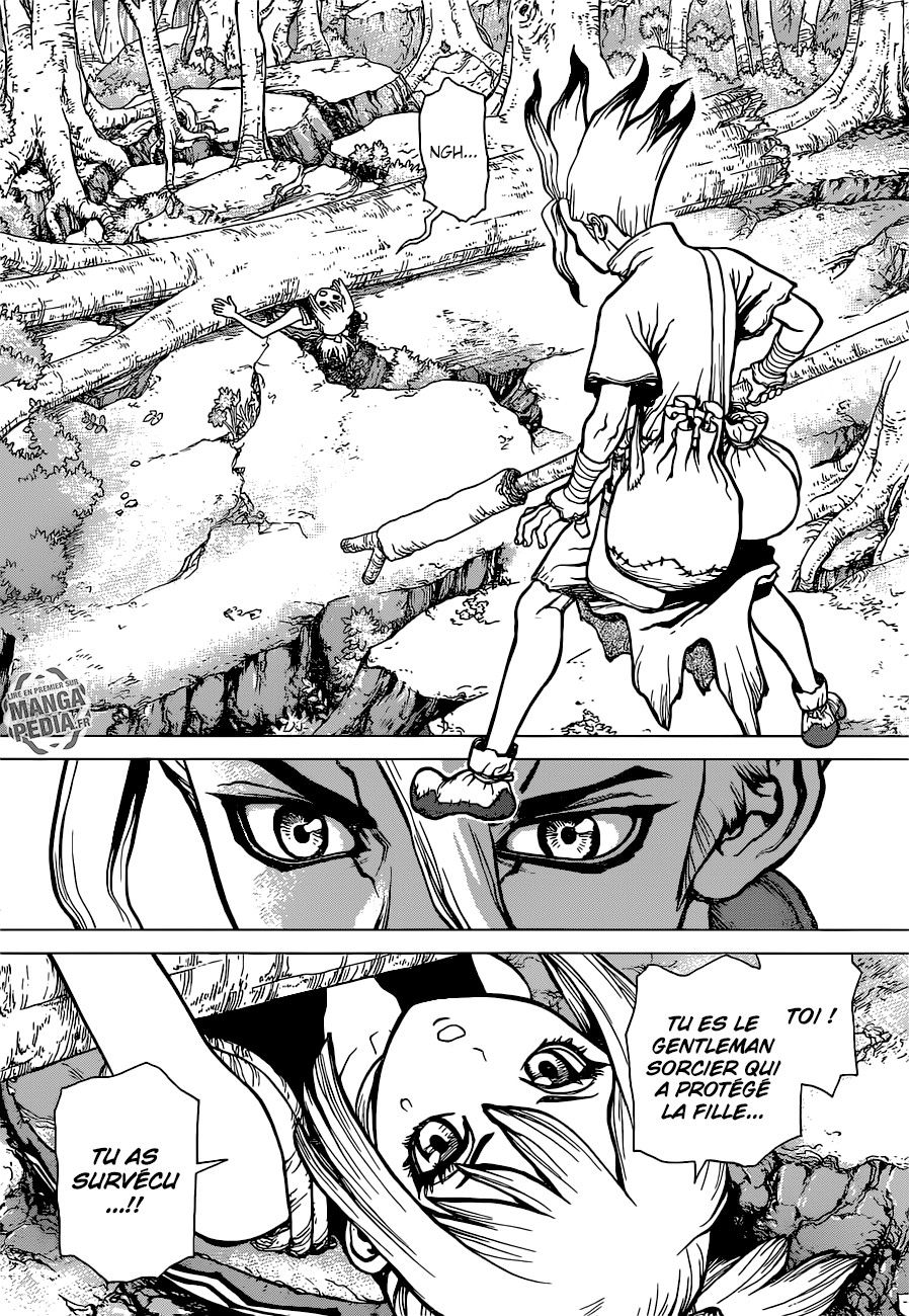 Read Dr Stone FR Manga Online