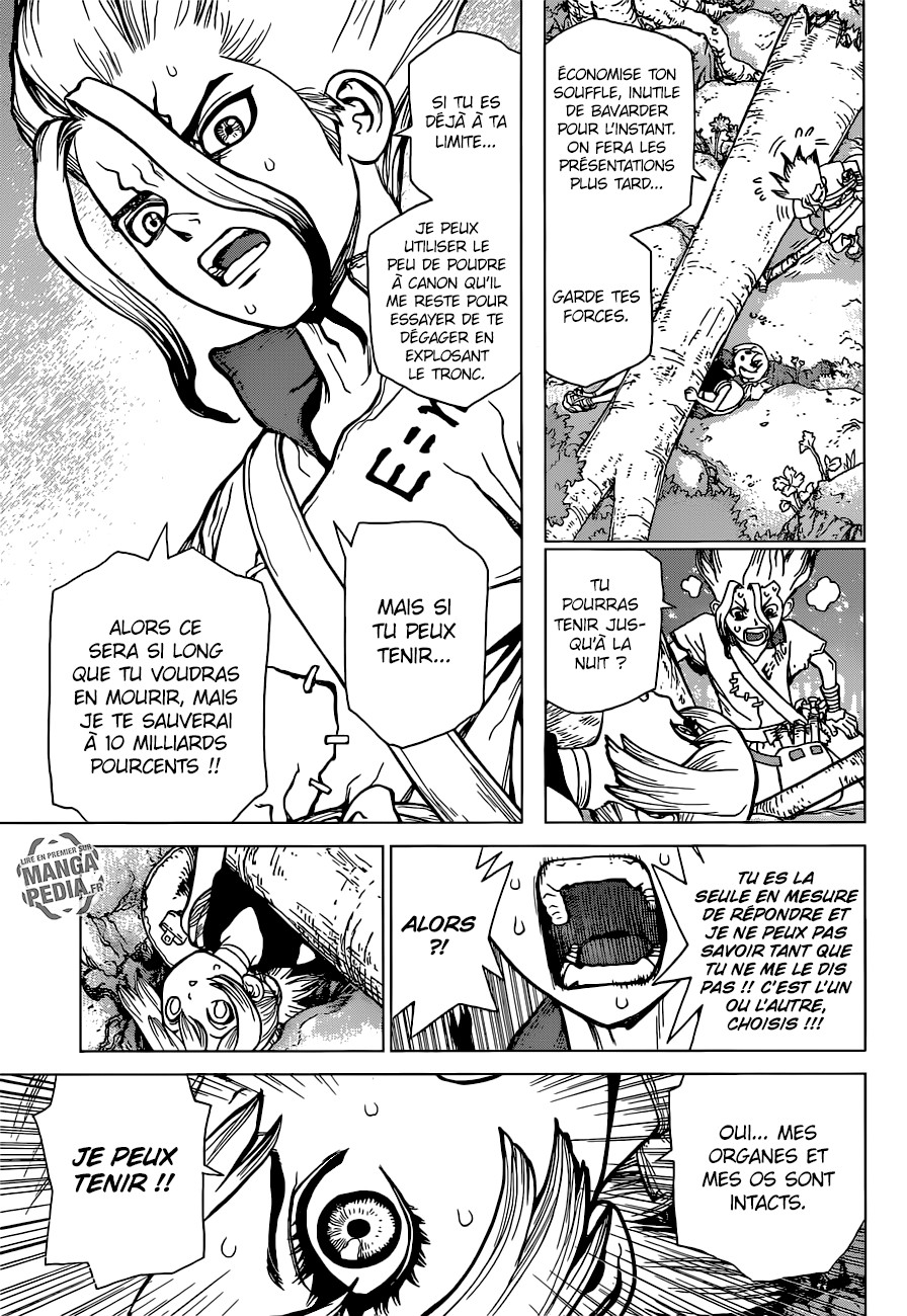 Read Dr Stone FR Manga Online