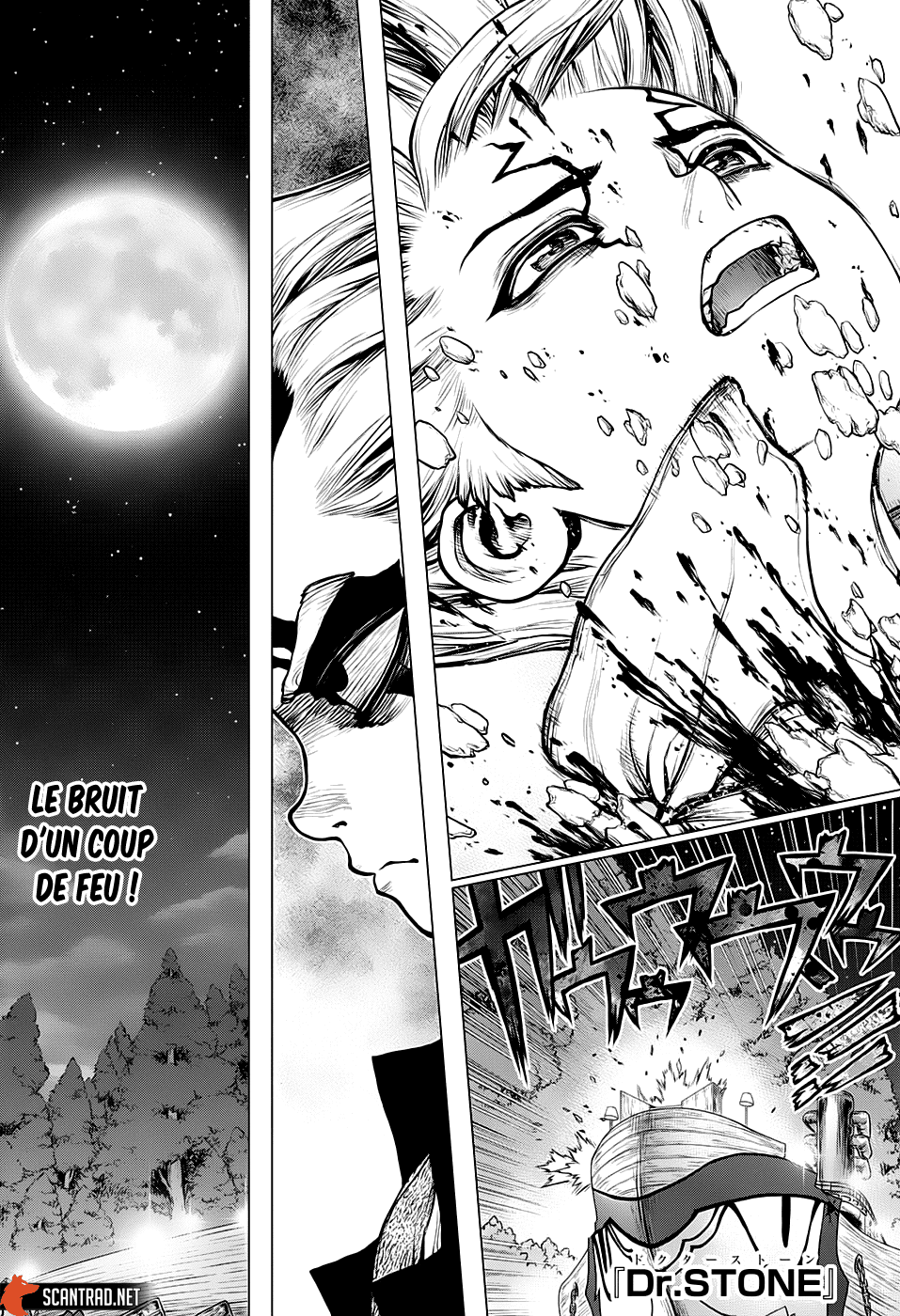 Read Dr Stone FR Manga Online