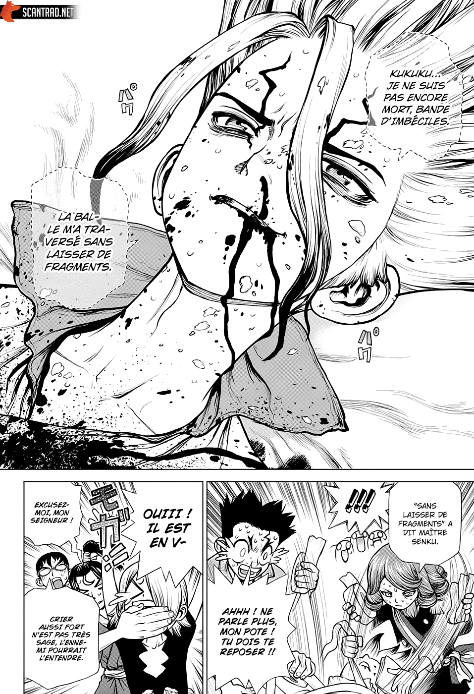 Read Dr Stone FR Manga Online