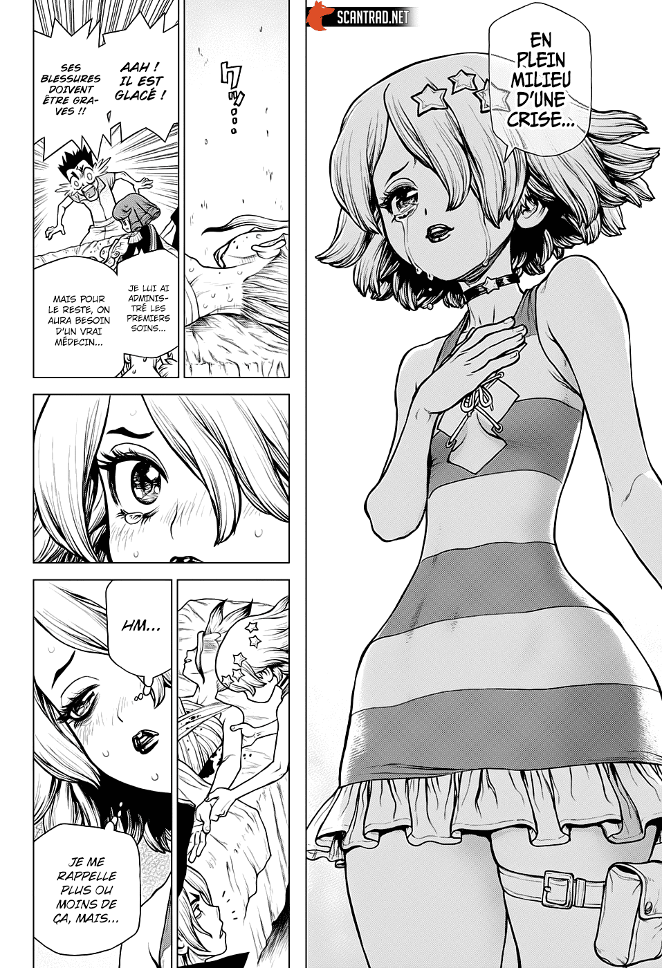 Read Dr Stone FR Manga Online
