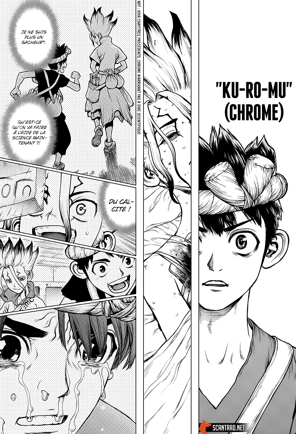 Read Dr Stone FR Manga Online