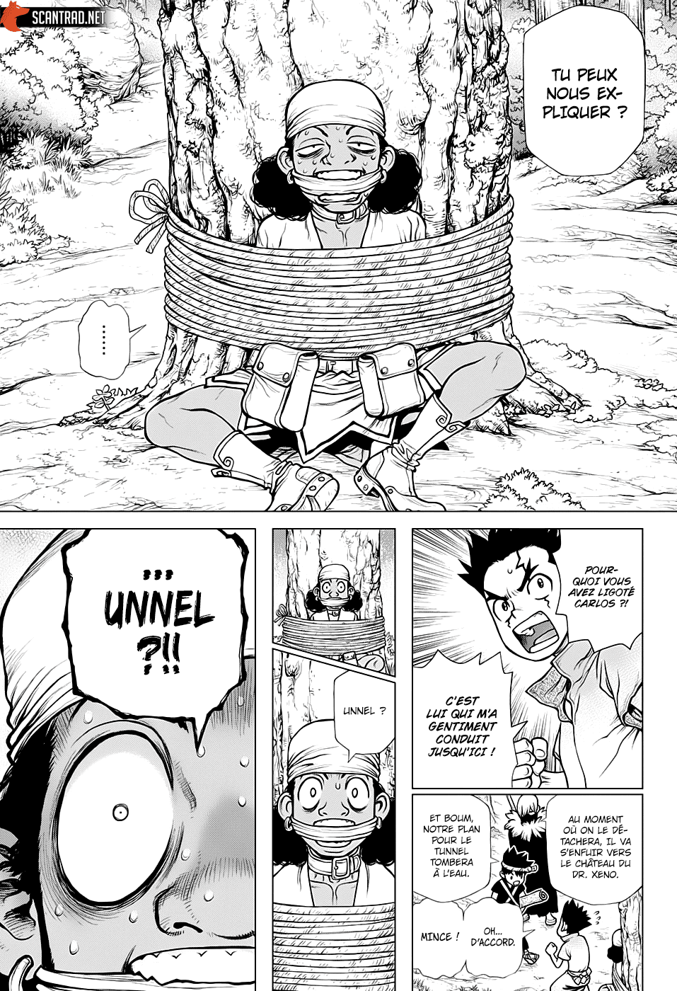 Read Dr Stone FR Manga Online