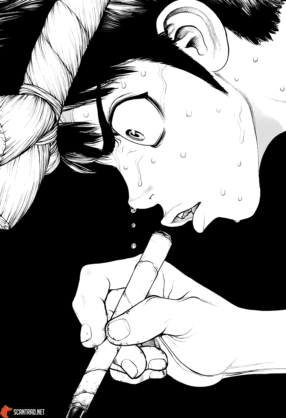Read Dr Stone FR Manga Online