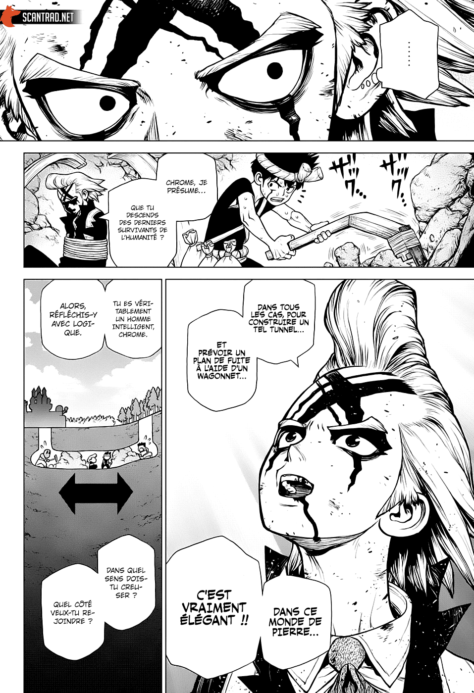 Read Dr Stone FR Manga Online