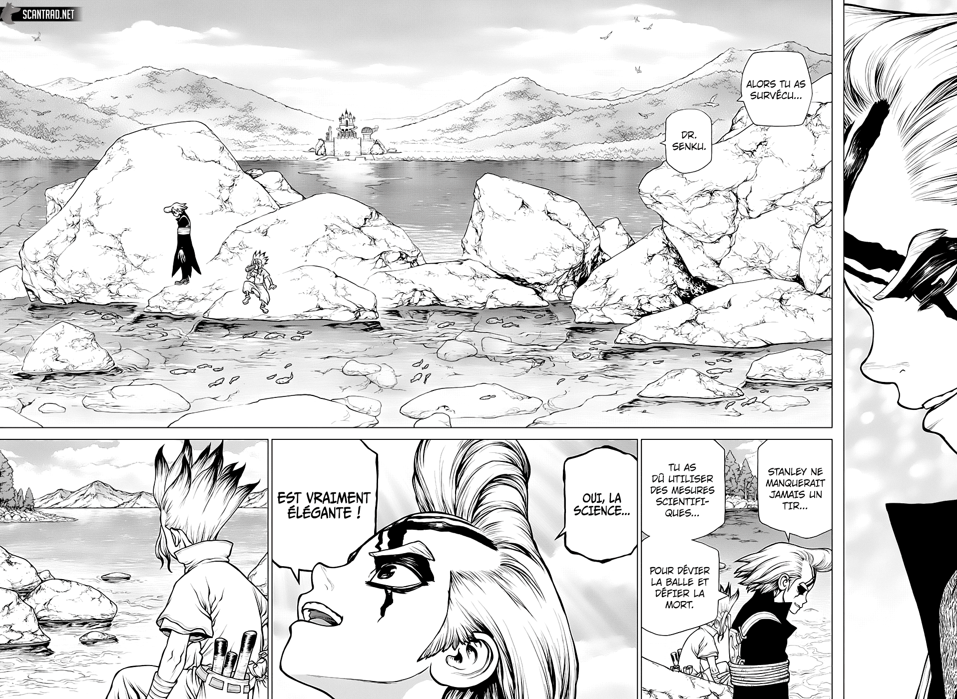 Read Dr Stone FR Manga Online