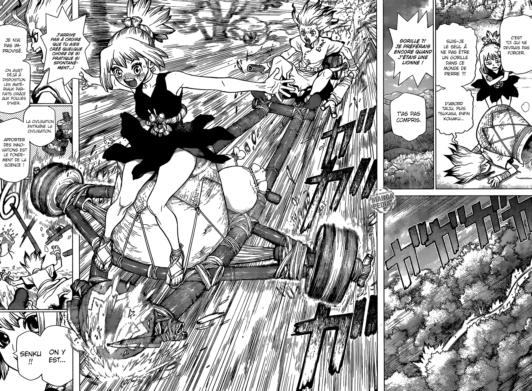 Read Dr Stone FR Manga Online
