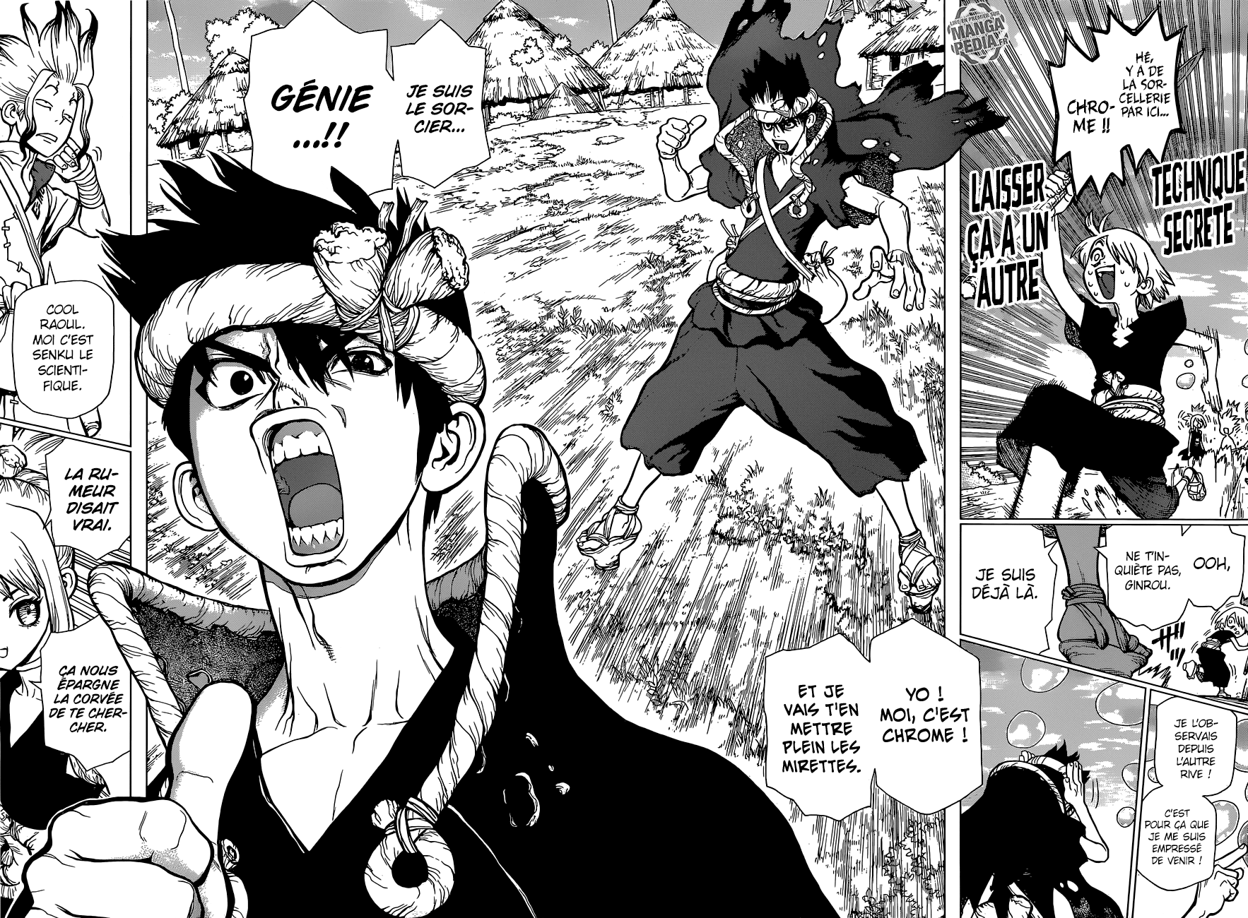 Read Dr Stone FR Manga Online