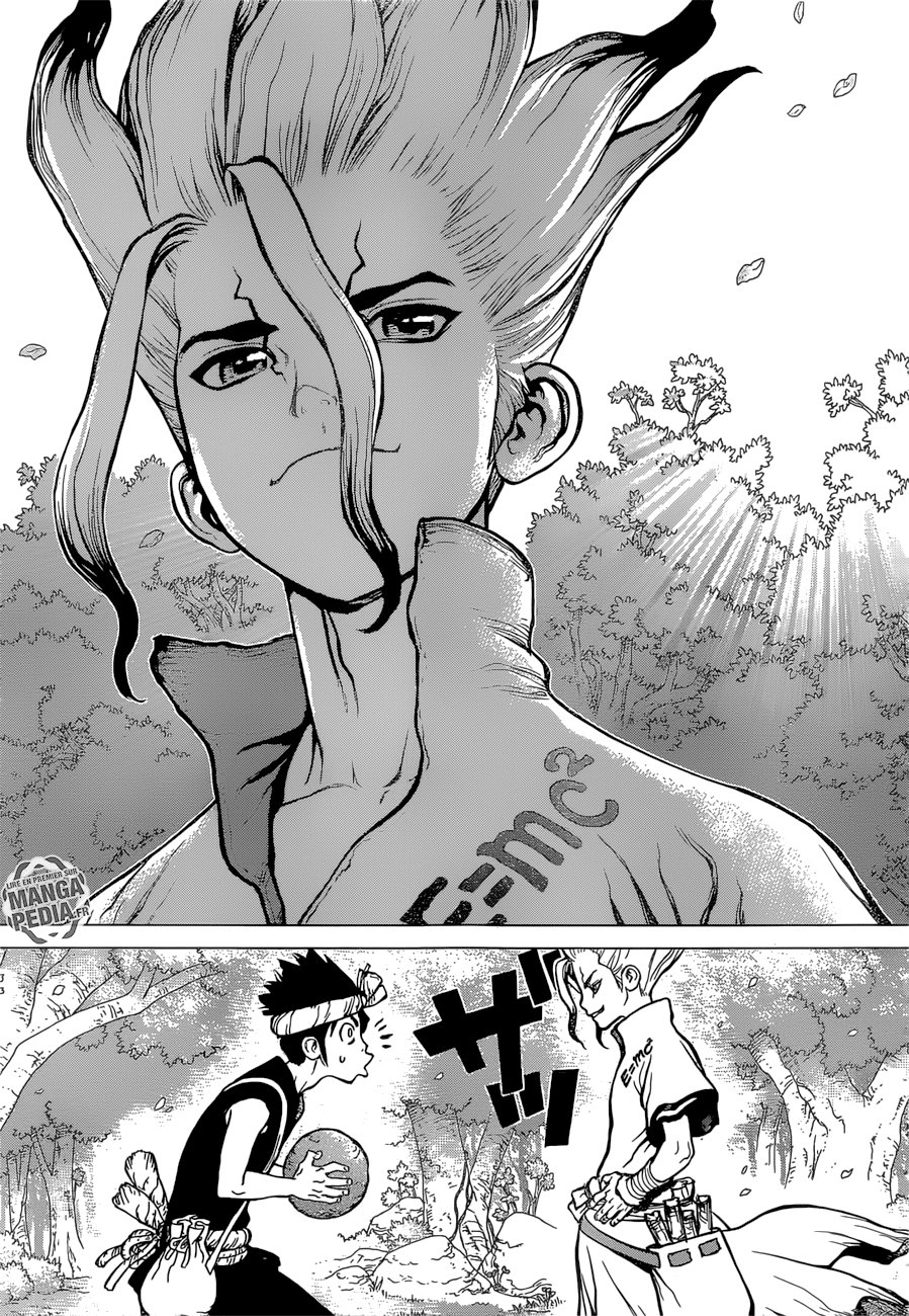 Read Dr Stone FR Manga Online