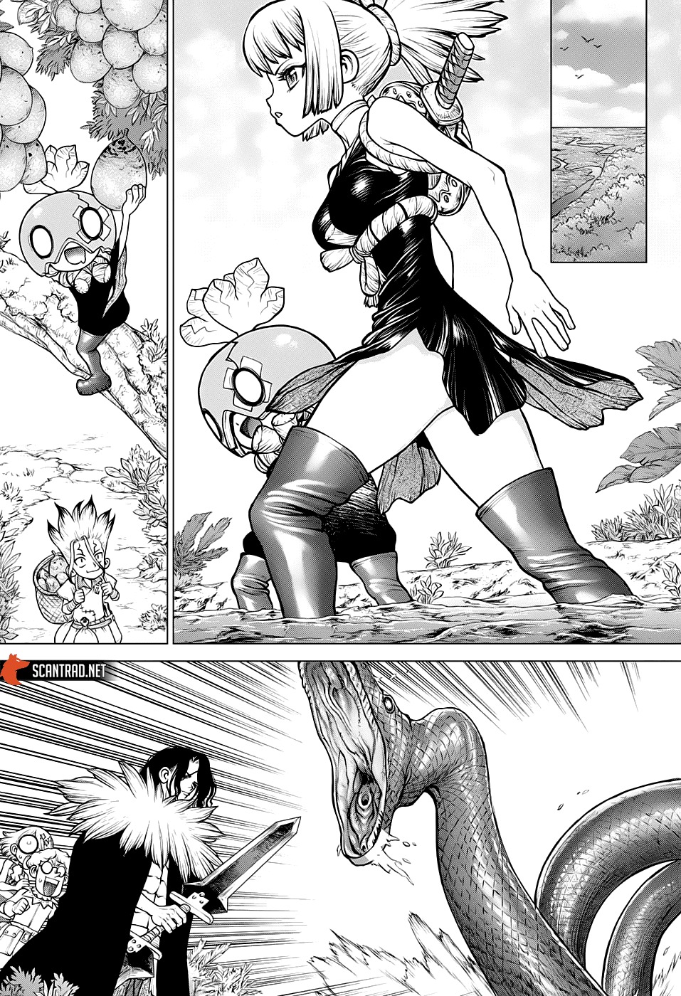 Read Dr Stone FR Manga Online