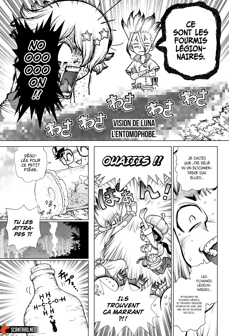 Read Dr Stone FR Manga Online