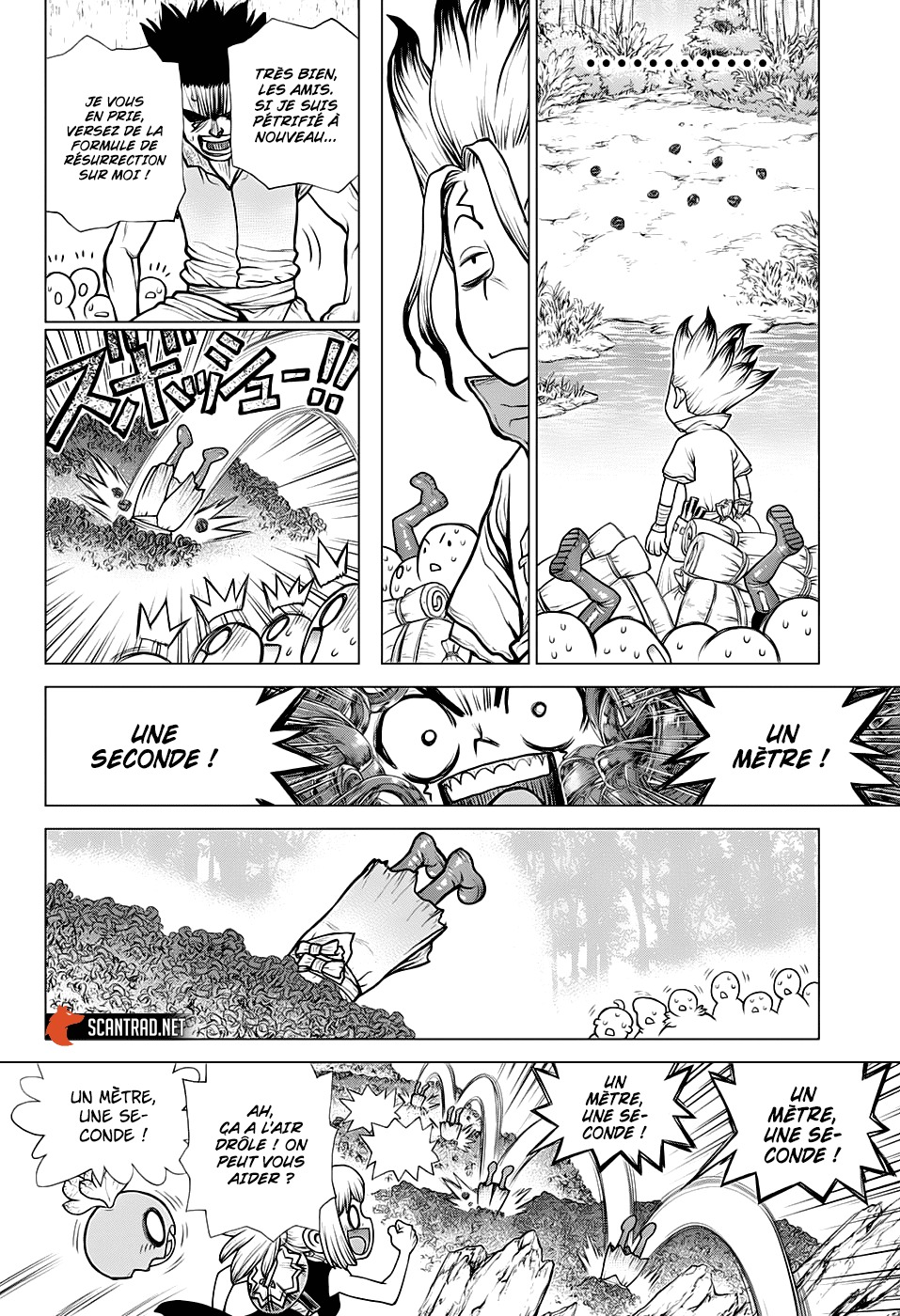Read Dr Stone FR Manga Online