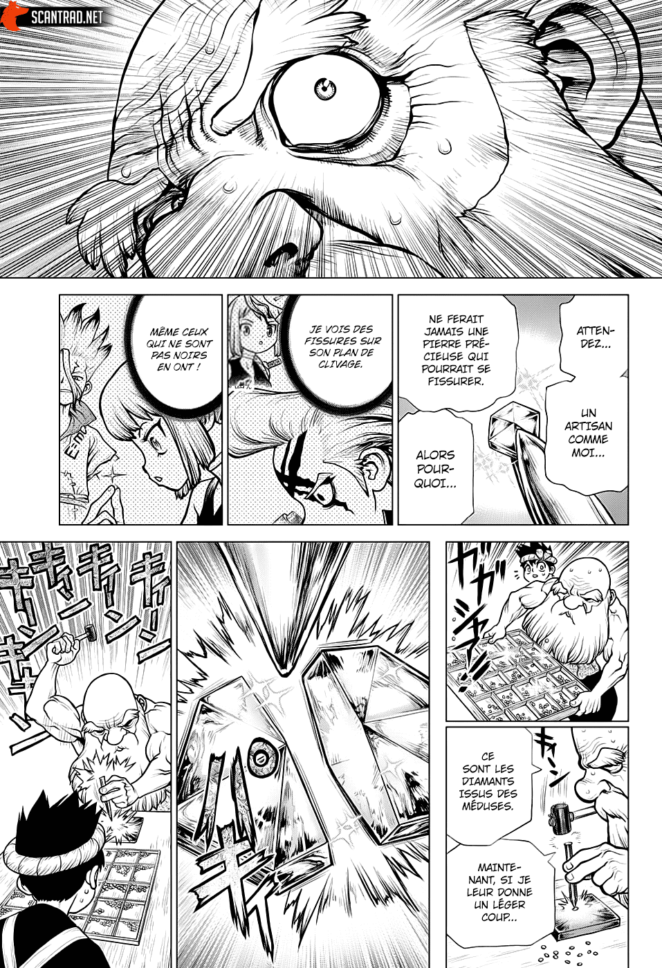 Read Dr Stone FR Manga Online