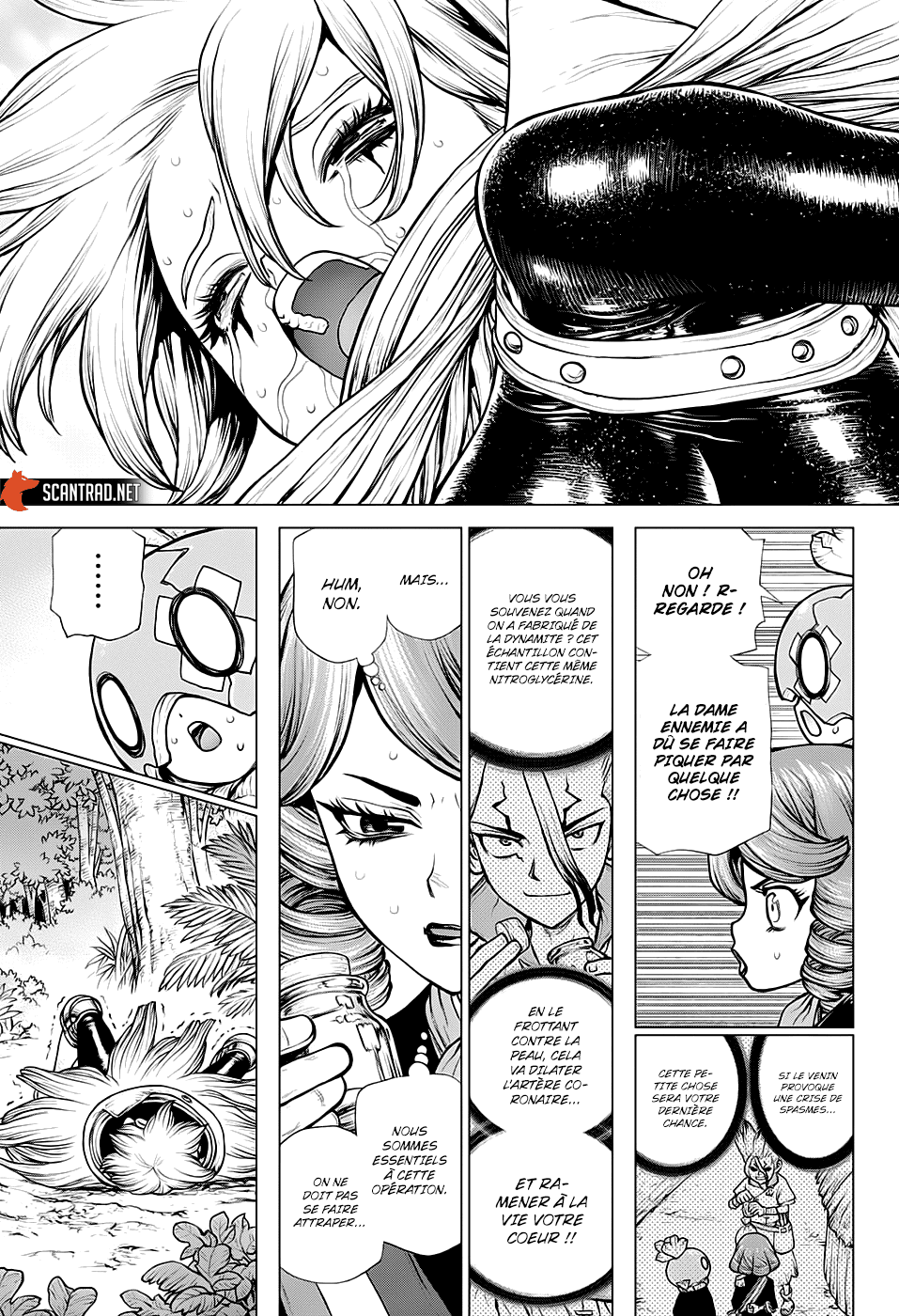 Read Dr Stone FR Manga Online