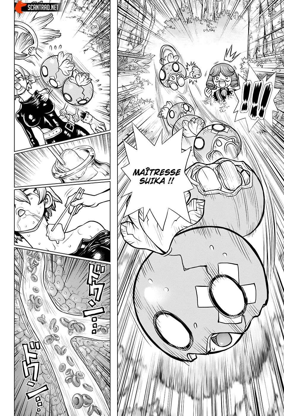 Read Dr Stone FR Manga Online