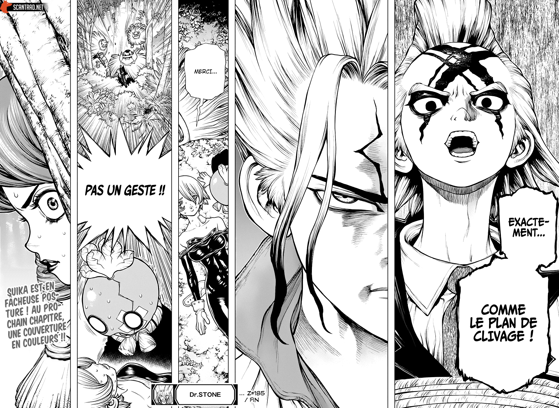 Read Dr Stone FR Manga Online