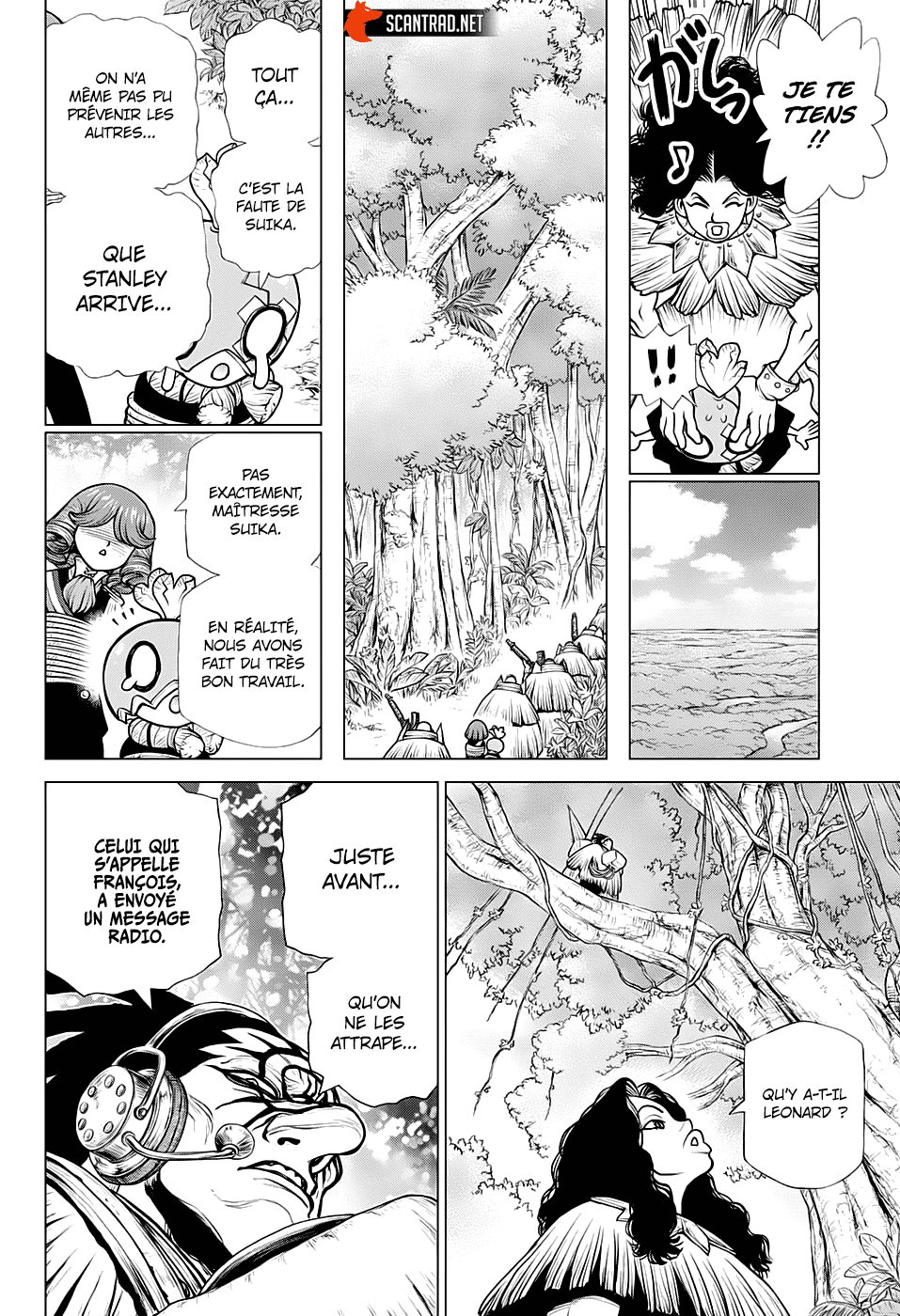 Read Dr Stone FR Manga Online